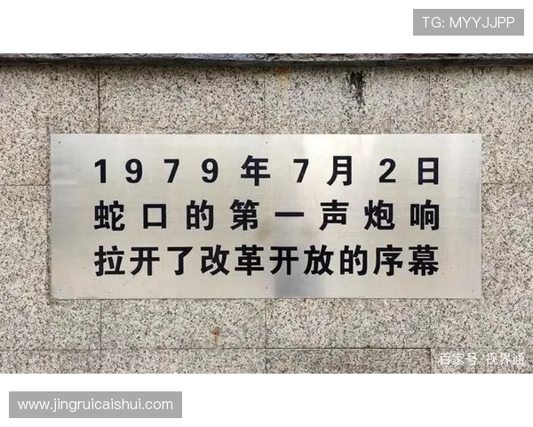 深圳乒乓球队奋斗历程的真实记录与精神传承